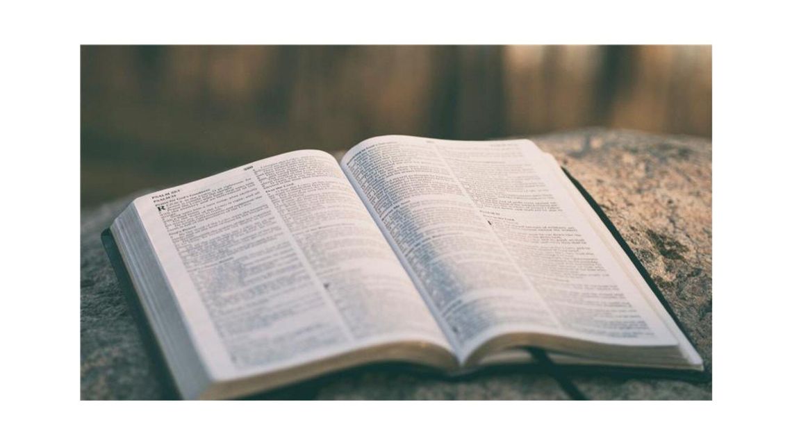 What Does The Bible Say?